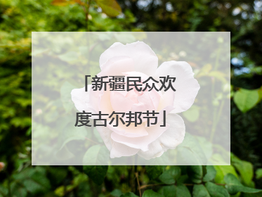 新疆民众欢度古尔邦节