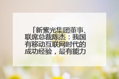 新紫光集团董事、联席总裁陈杰：我国有移动互联网时代的成功经验，最有能力做好AI应用创新