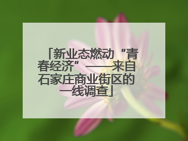 新业态燃动“青春经济”——来自石家庄商业街区的一线调查