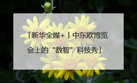 新华全媒+丨中东欧博览会上的“数智”科技秀