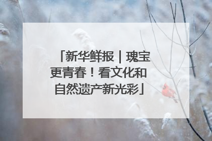 新华鲜报｜瑰宝更青春！看文化和自然遗产新光彩
