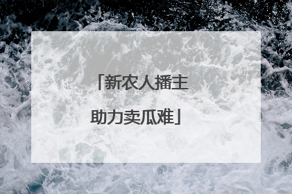 新农人播主 助力卖瓜难