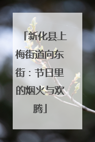 新化县上梅街道向东街：节日里的烟火与欢腾