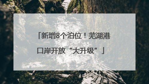 新增8个泊位！芜湖港口岸开放“大升级”