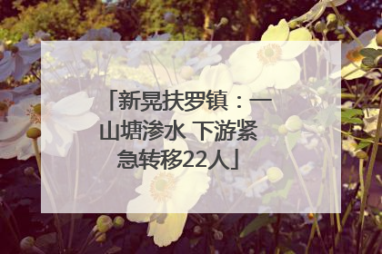 新晃扶罗镇：一山塘渗水 下游紧急转移22人