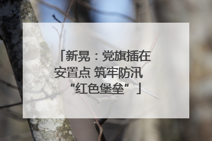 新晃：党旗插在安置点 筑牢防汛“红色堡垒”