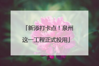 新添打卡点！泉州这一工程正式投用