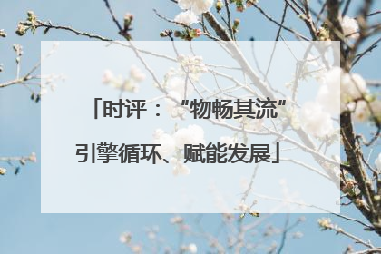 时评：“物畅其流”引擎循环、赋能发展