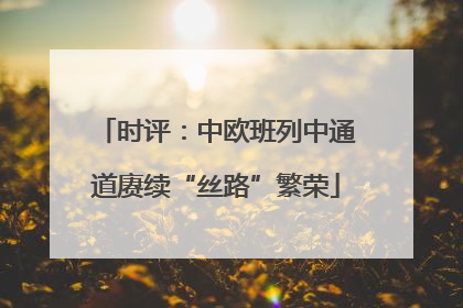 时评：中欧班列中通道赓续“丝路”繁荣