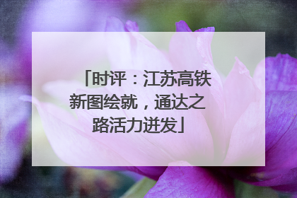 时评：江苏高铁新图绘就，通达之路活力迸发