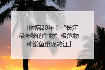 时隔20年！“长江最神秘的生物”极危物种鳤鱼重现赣江