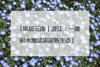 旅居云南｜澄江：一湖碧水激活旅居新生态