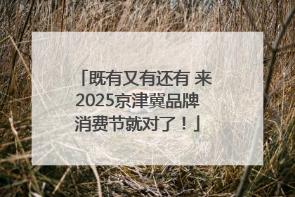 既有又有还有 来2025京津冀品牌消费节就对了！