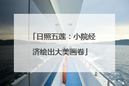 日照五莲：小院经济绘出大美画卷