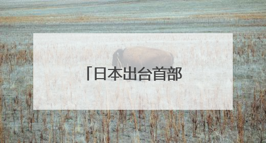 日本出台首部人工智能法