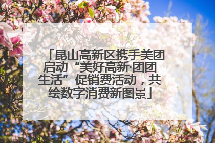 昆山高新区携手美团启动“美好高新·团团生活”促销费活动，共绘数字消费新图景