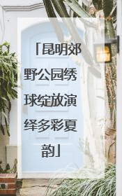 昆明郊野公园绣球绽放演绎多彩夏韵