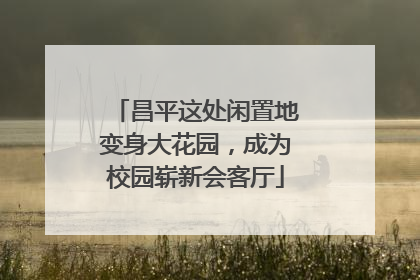 昌平这处闲置地变身大花园，成为校园崭新会客厅