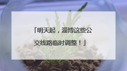 明天起，淄博这些公交线路临时调整！