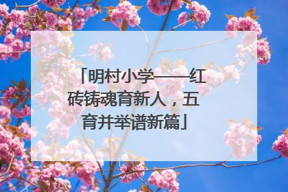 明村小学——红砖铸魂育新人，五育并举谱新篇