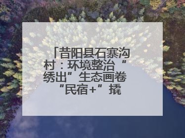 昔阳县石寨沟村：环境整治“绣出”生态画卷 “民宿+”撬动农文旅融合