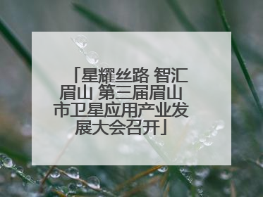 星耀丝路 智汇眉山 第三届眉山市卫星应用产业发展大会召开
