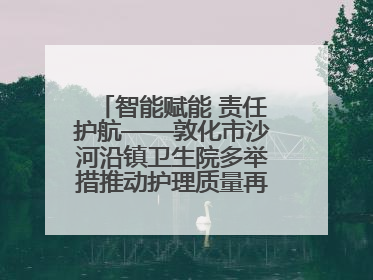 智能赋能 责任护航——敦化市沙河沿镇卫生院多举措推动护理质量再上新台阶