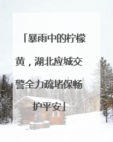 暴雨中的柠檬黄，湖北应城交警全力疏堵保畅护平安