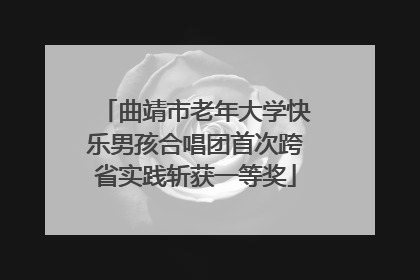 曲靖市老年大学快乐男孩合唱团首次跨省实践斩获一等奖