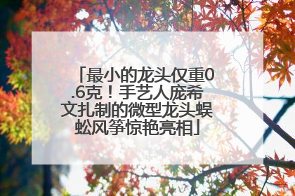 最小的龙头仅重0.6克！手艺人庞希文扎制的微型龙头蜈蚣风筝惊艳亮相