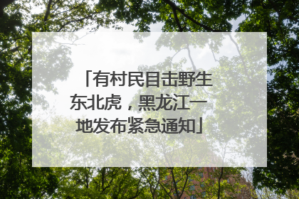 有村民目击野生东北虎，黑龙江一地发布紧急通知