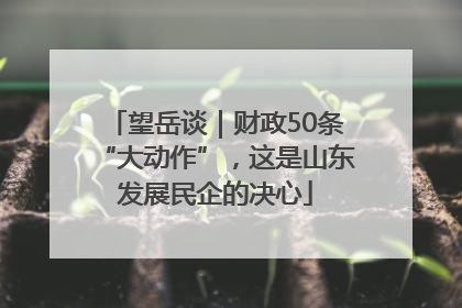 望岳谈｜财政50条“大动作”，这是山东发展民企的决心