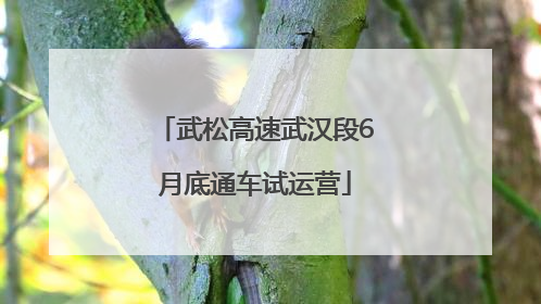 武松高速武汉段6月底通车试运营