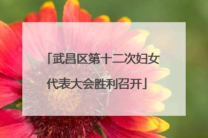 武昌区第十二次妇女代表大会胜利召开
