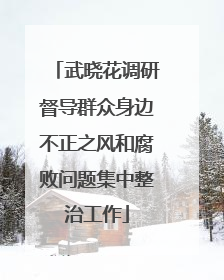 武晓花调研督导群众身边不正之风和腐败问题集中整治工作