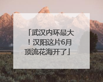 武汉内环最大！汉阳这片6月顶流花海开了