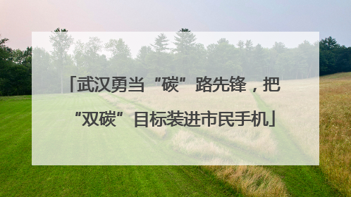武汉勇当“碳”路先锋，把“双碳”目标装进市民手机