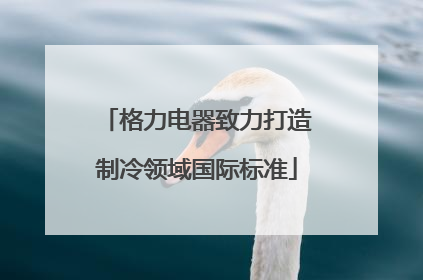 格力电器致力打造制冷领域国际标准