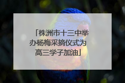 株洲市十三中举办杨梅采摘仪式为高三学子加油
