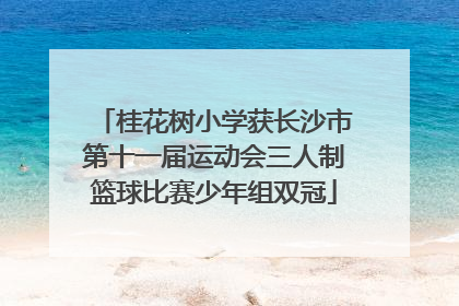 桂花树小学获长沙市第十一届运动会三人制篮球比赛少年组双冠