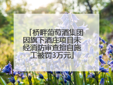 桥畔葡萄酒集团因旗下酒庄项目未经消防审查擅自施工被罚3万元