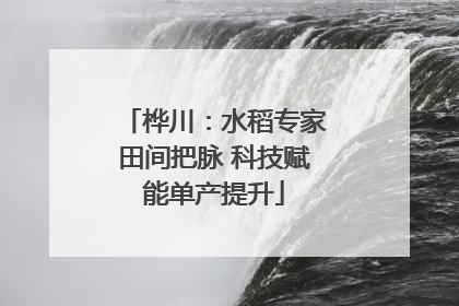 桦川：水稻专家田间把脉 科技赋能单产提升