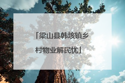 梁山县韩垓镇乡村物业解民忧