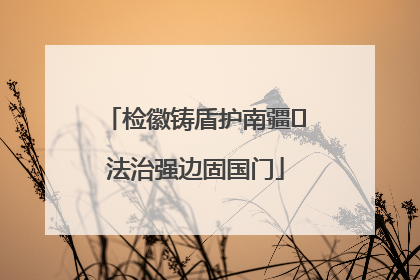 检徽铸盾护南疆 法治强边固国门