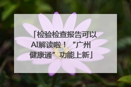 检验检查报告可以AI解读啦！“广州健康通”功能上新