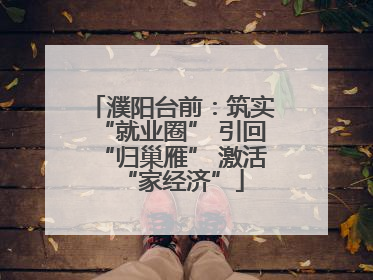 濮阳台前：筑实“就业圈” 引回“归巢雁” 激活“家经济”