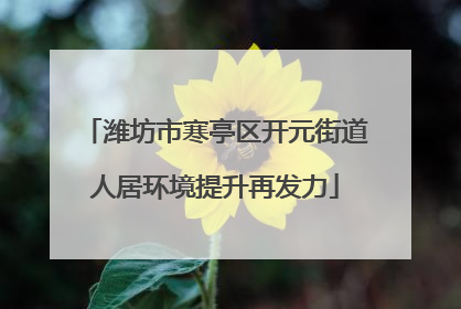 潍坊市寒亭区开元街道人居环境提升再发力