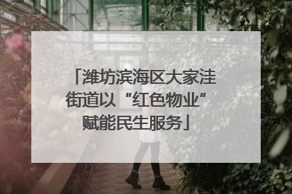 潍坊滨海区大家洼街道以“红色物业”赋能民生服务