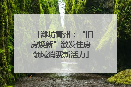 潍坊青州：“旧房焕新”激发住房领域消费新活力