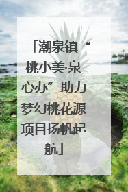 潮泉镇“桃小美·泉心办”助力梦幻桃花源项目扬帆起航